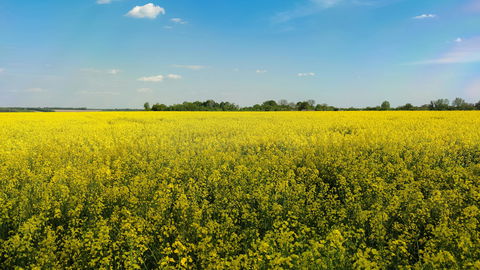 Wetter-Wende nach der „Kalten Sophie“: Lockt zu Pfingsten der erste 30-Grad-Kracher?