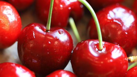 Kirschen-Warenkunde: Warum die roten Sommerfrüchte echte Fitmacher sind