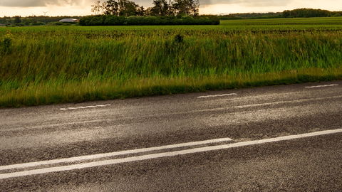 Sehnsucht nach Sonne: Wann kommt der Sommer im Juni endlich richtig zurück?