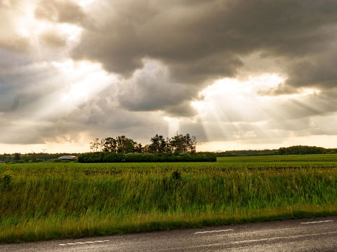 Sehnsucht nach Sonne: Wann kommt der Sommer im Juni endlich richtig zurück?