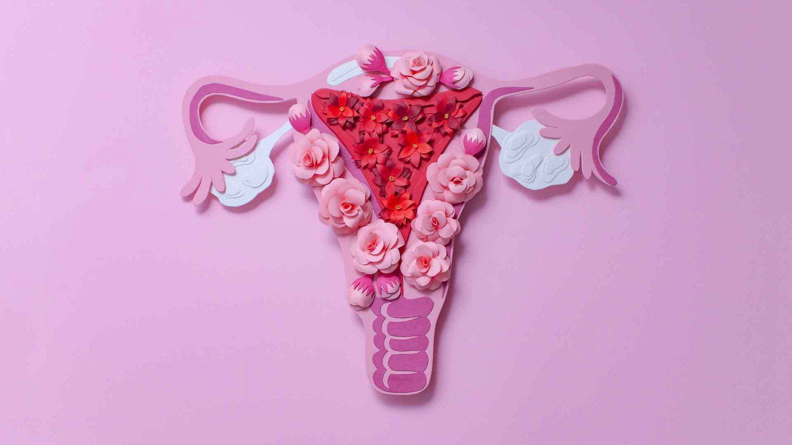 Kinderwunsch: Das solltest du über den Muttermund wissen