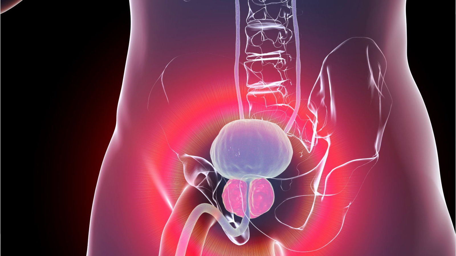 Britische Forscher mahnen zur Vorsorgeuntersuchungen hinsichtlich Prostatakrebs