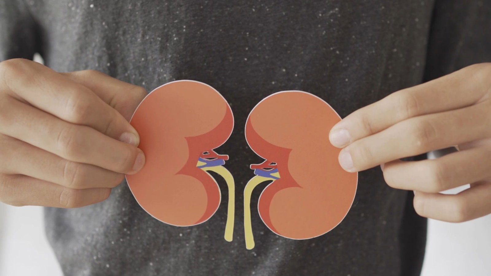 Nierenversagen: Wie sich die Krankheit des Organs bemerkbar macht