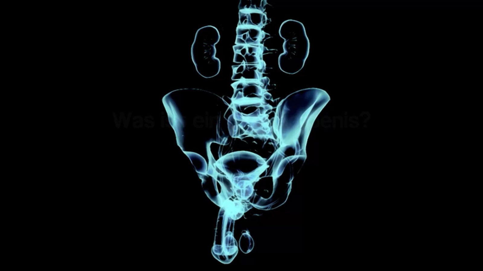 Sommerpenis: Heiße Fakten zum Phänomen