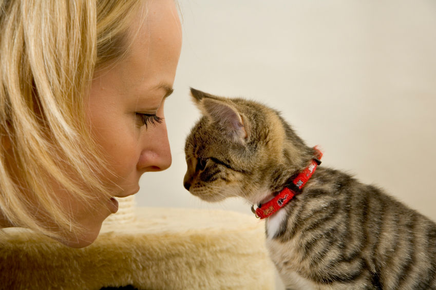 Frau mit Katze