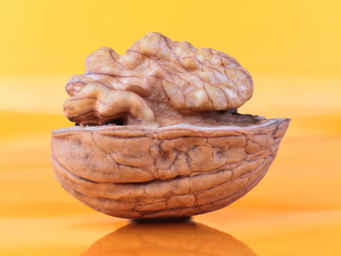 Walnüsse: Das Superfood für Ihre Gesundheit