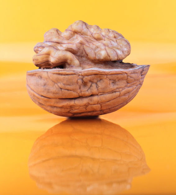 Die Walnuss gilt zu Recht als Superfood, da sie eine Vielzahl von gesundheitlichen Vorteilen bietet.