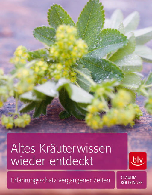 Altes Kräuterwissen wieder endtecken
