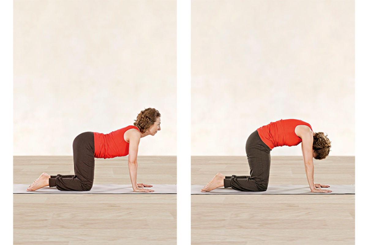 Yoga-Übungen Katze und Kuh