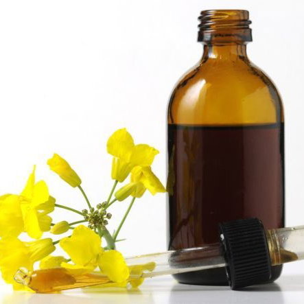 Homöopathische Hausapotheke