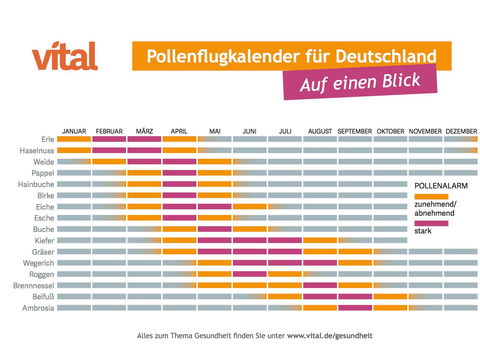 Pollenflug in Deutschland