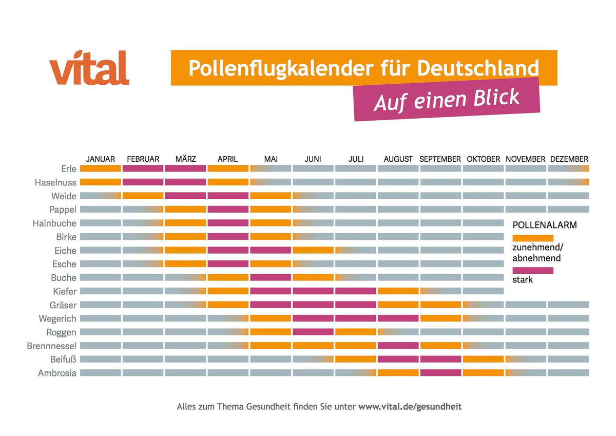 Pollenflugkalender