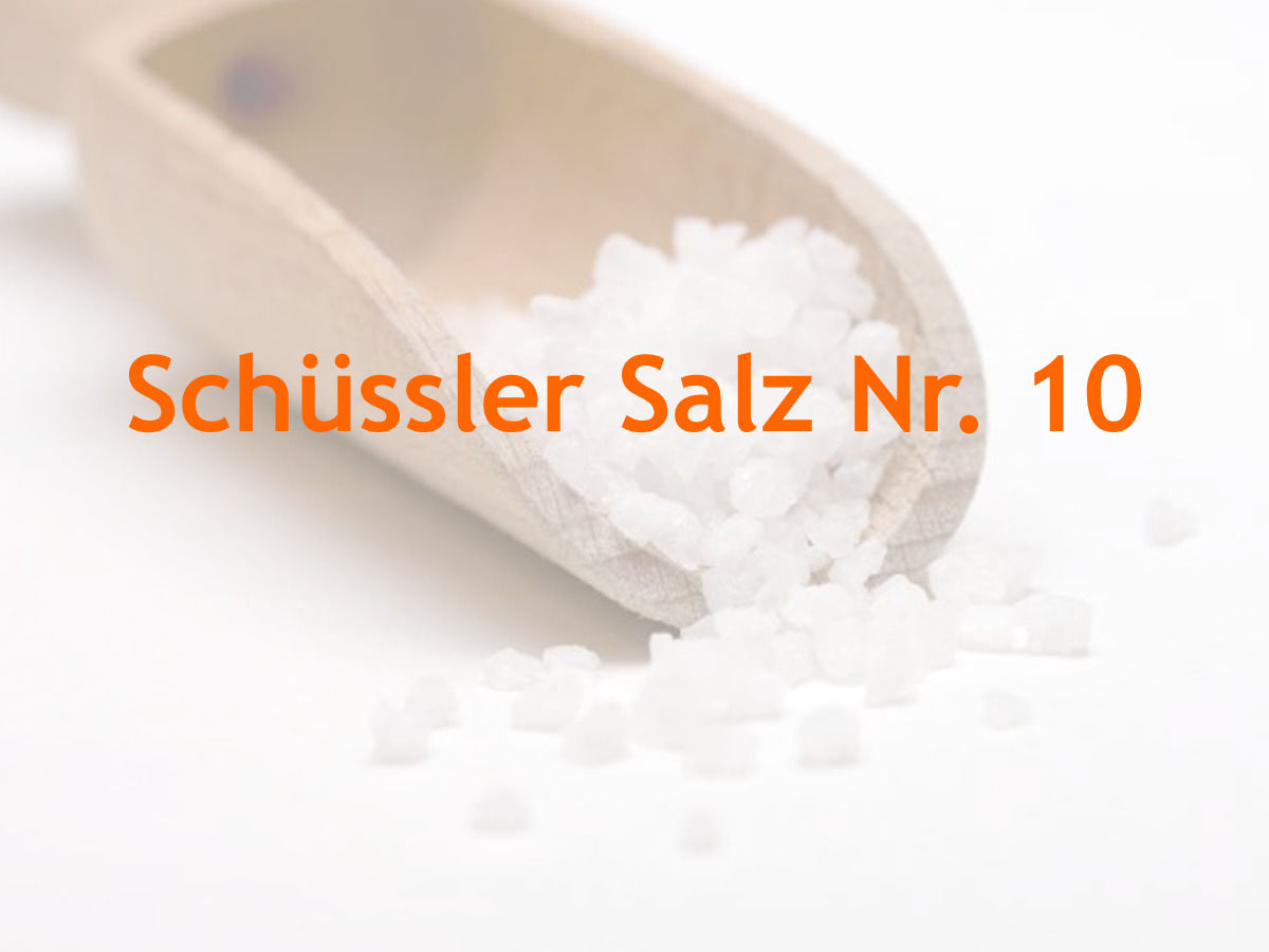 Die 12 Schüssler Salze
