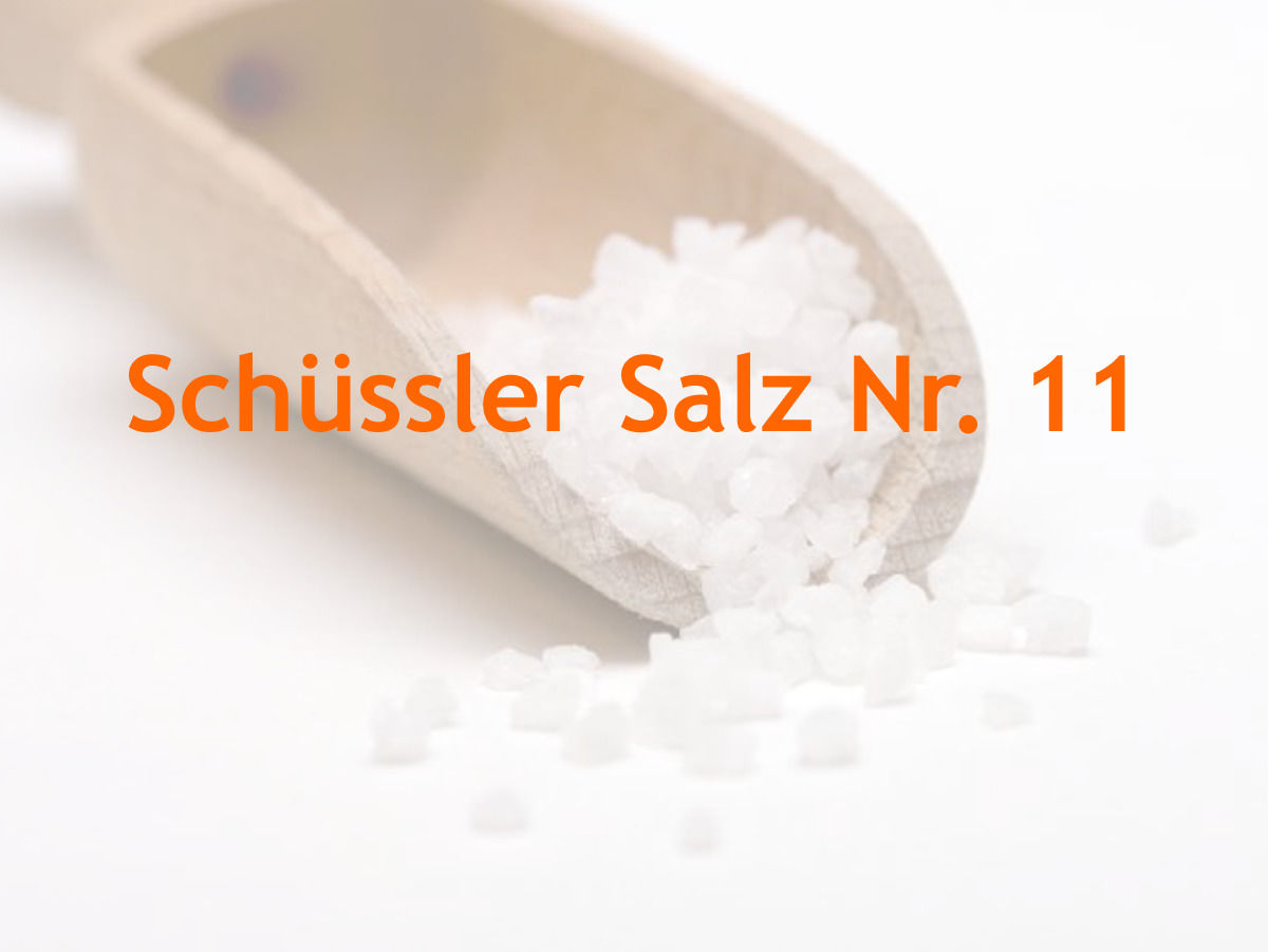 Die 12 Schüssler Salze