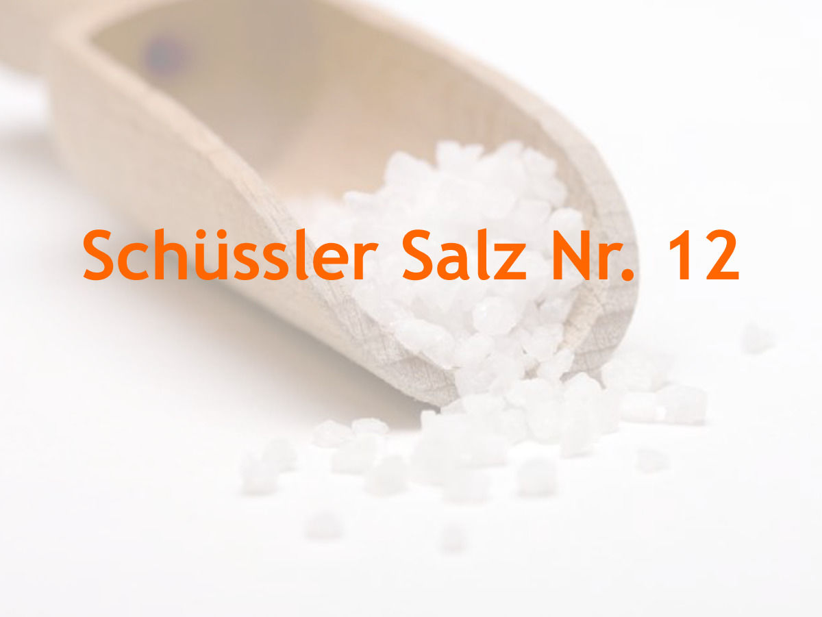 Die 12 Schüssler Salze