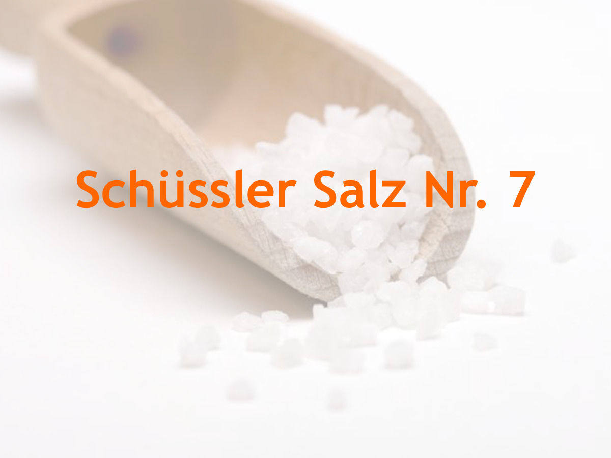 Die 12 Schüssler Salze