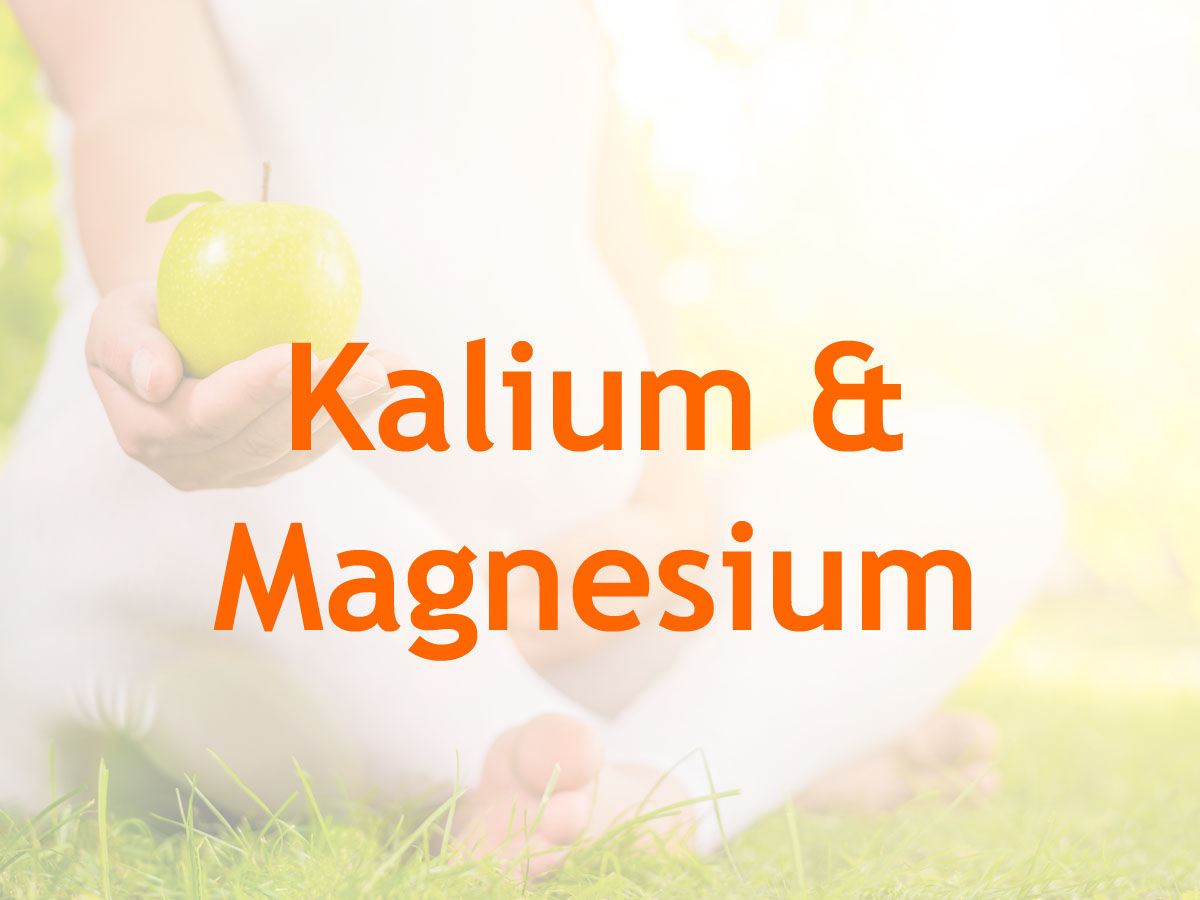 Vitamine in der Schwangerschaft