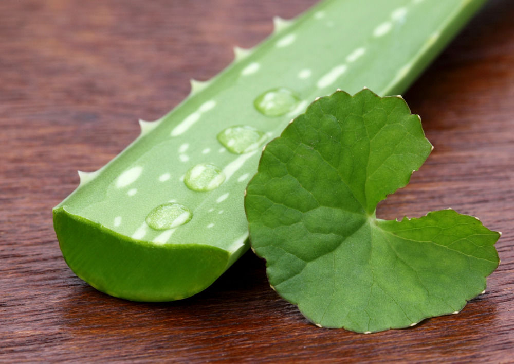 aloe-vera-saft_bei_mandelentzundungen
