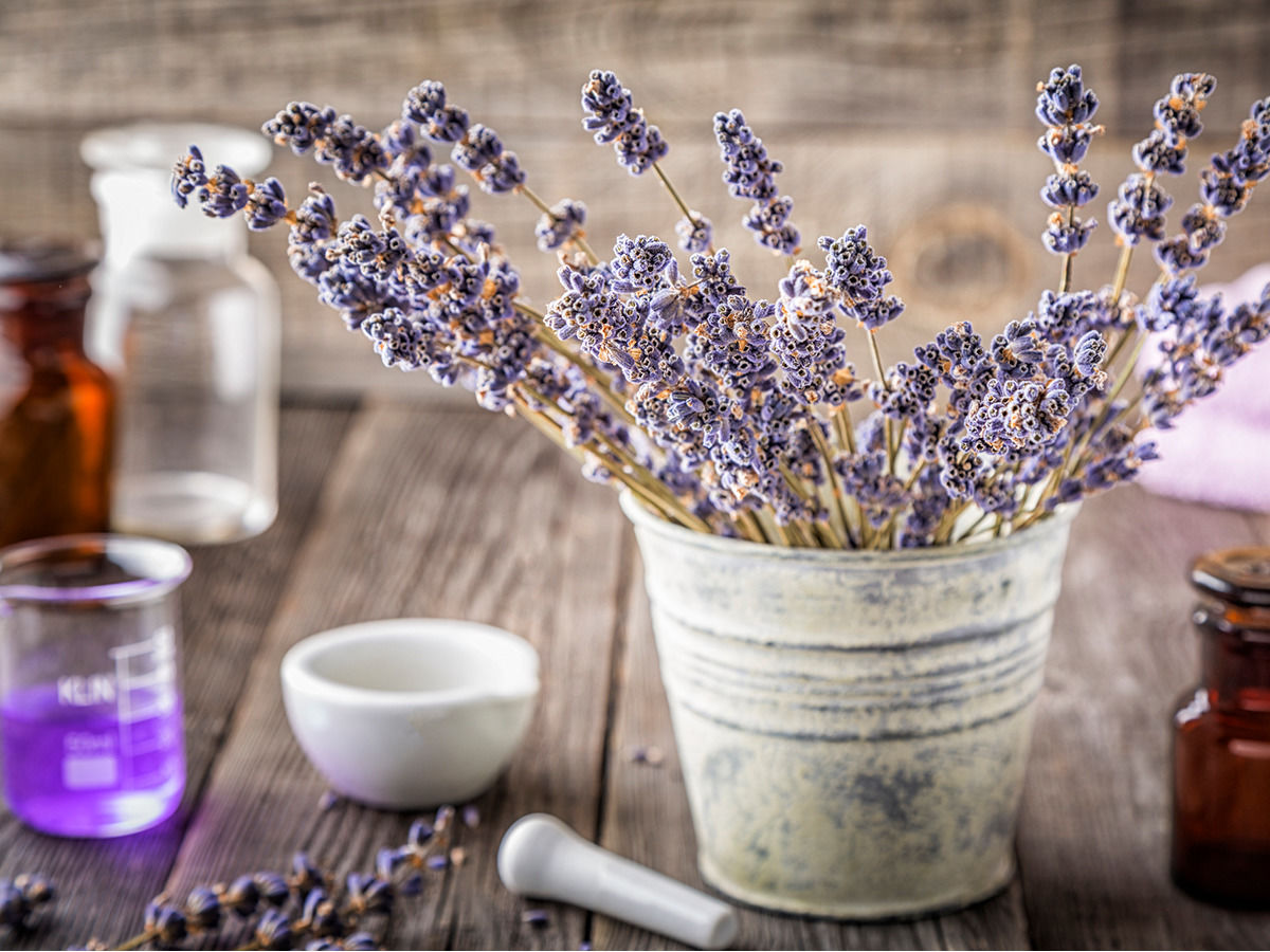 Lavendel im Topf auf einem Tisch