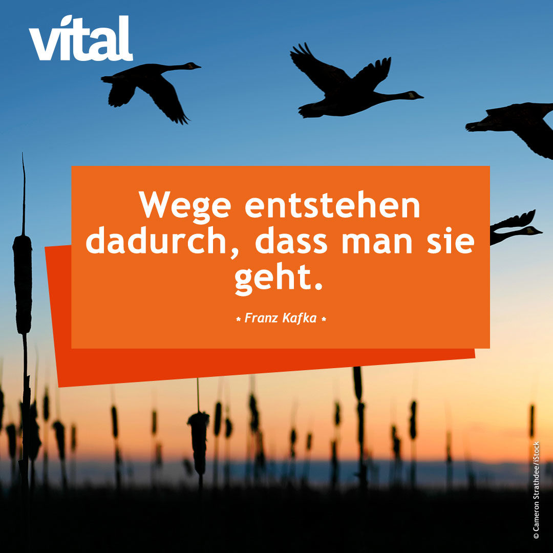 Wege entstehen dadruch, dass man sie geht.