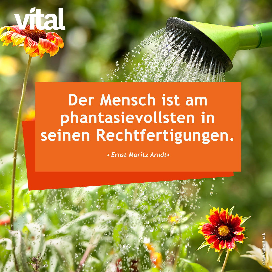 Der Mensch ist am phantasievollsten in seinen Rechtfertigungen.