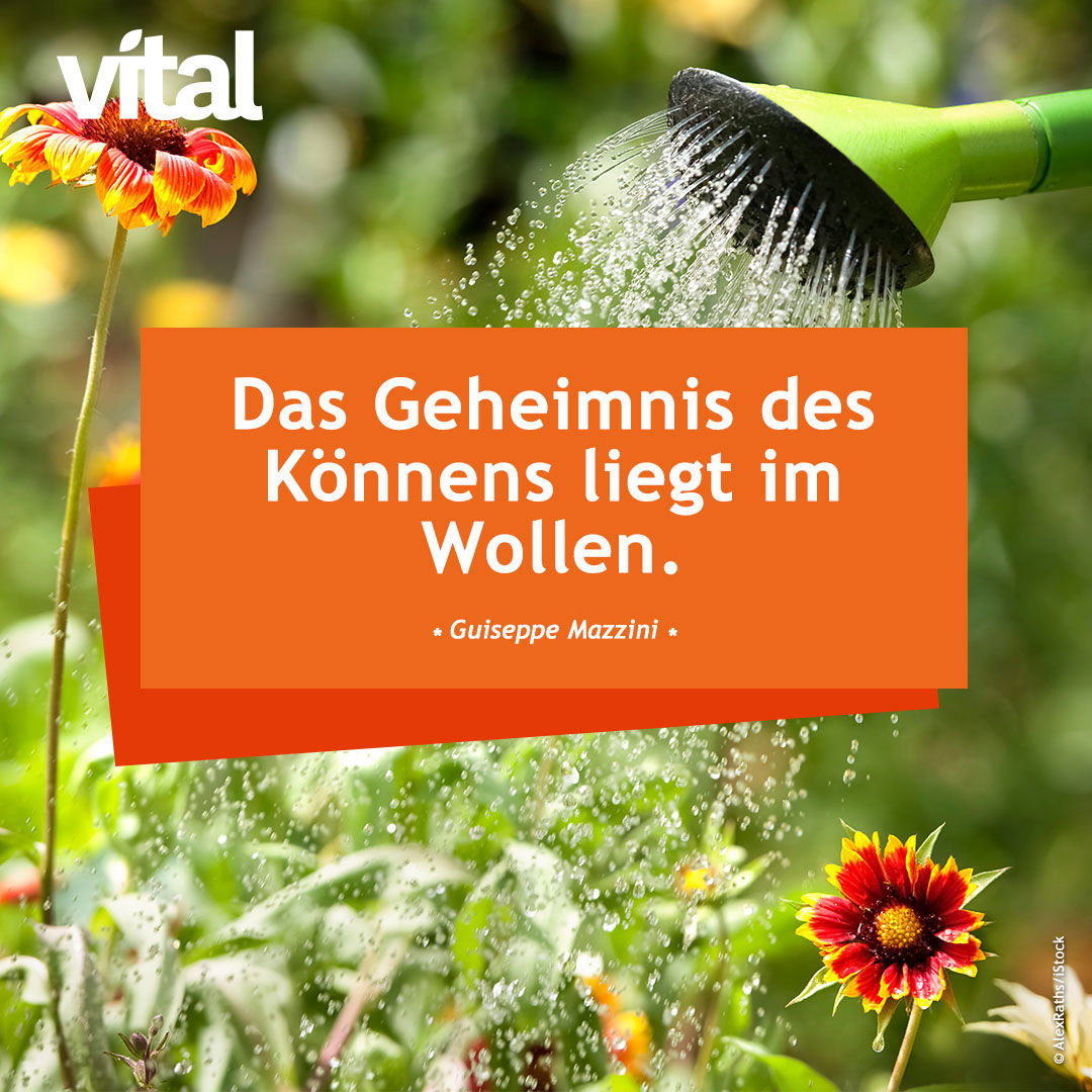 Das Geheimnis des Könnens liegt im Wollen.