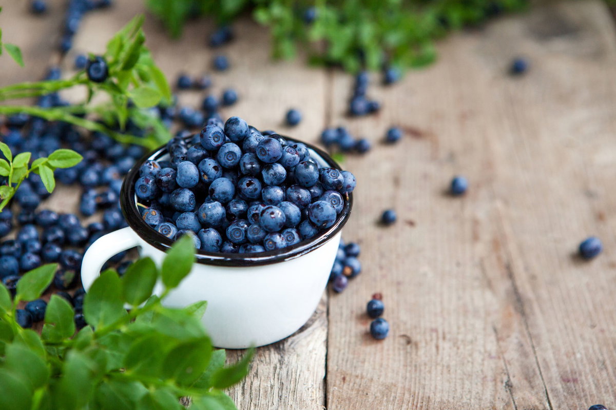 Heidelbeeren wird eine desinfizierende Wirkung nachgesagt