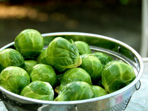 Rosenkohl roh essen: Ein Trend mit gesunden Vorzügen