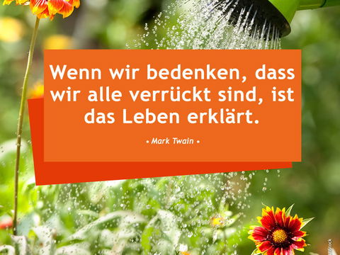 Die schönsten Sprüche zum Nachdenken