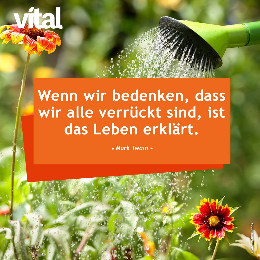 Wenn wir bedenken, dass wir alle verrückt sind, ist das Leben erklärt. - Mark Twain