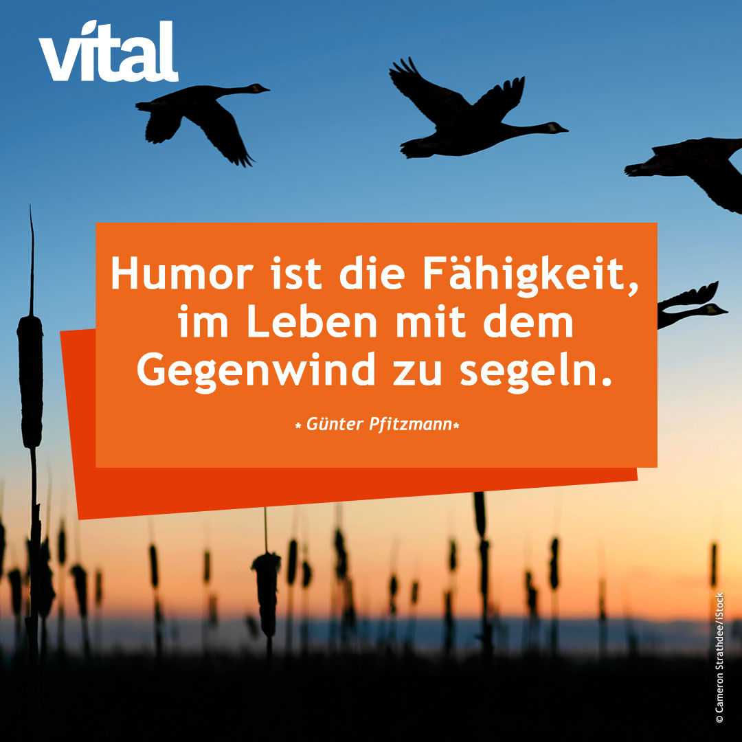 Humor ist die Fähigkeit, im Leben mit dem Gegenwind zu segeln.