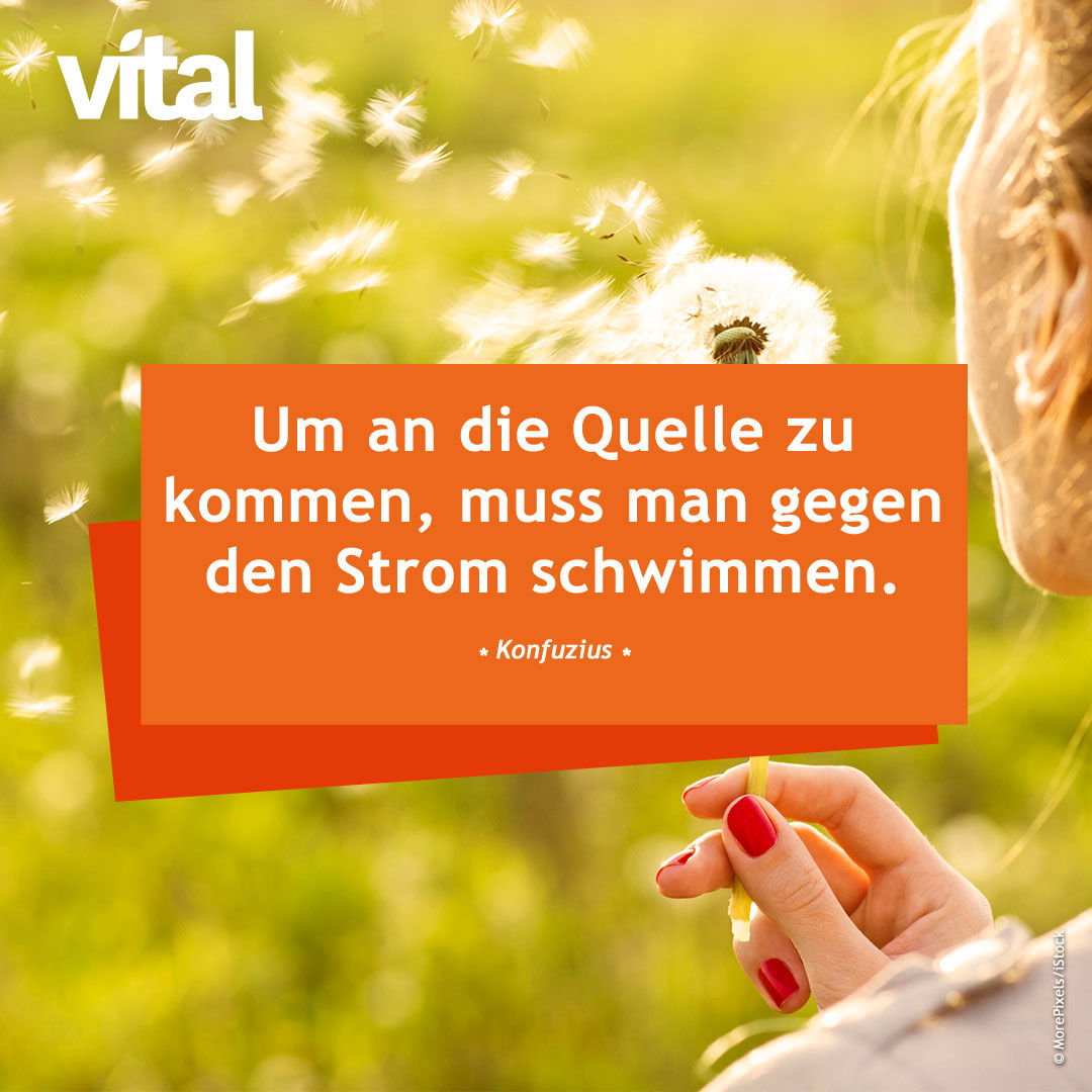 Um an die Quelle zu kommen, muss man gegen den Strom schwimmen. -  Konfuzius