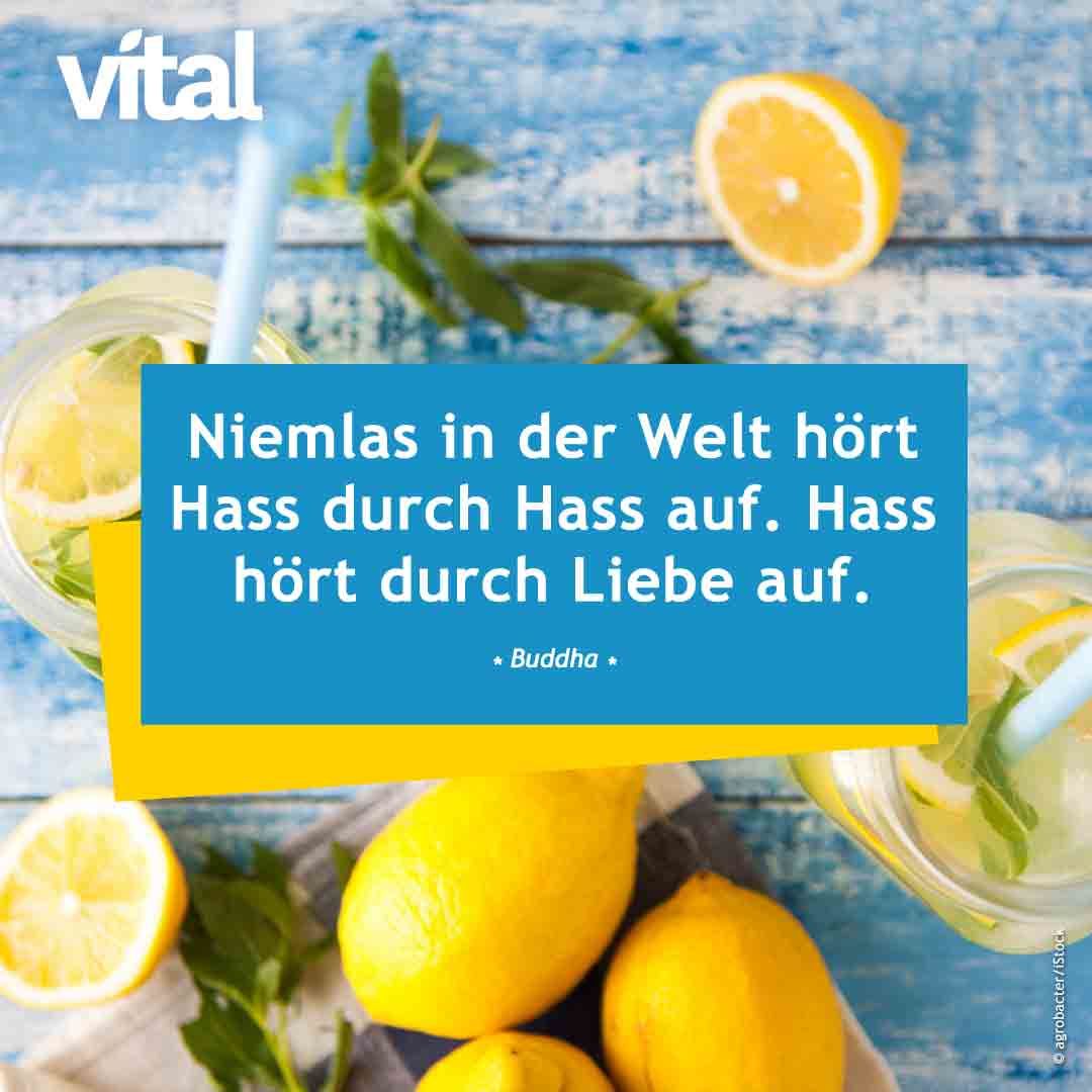 Niemals in der Welt hört Hass durch Hass auf. Hass hört nur durch Liebe auf. - Buddha