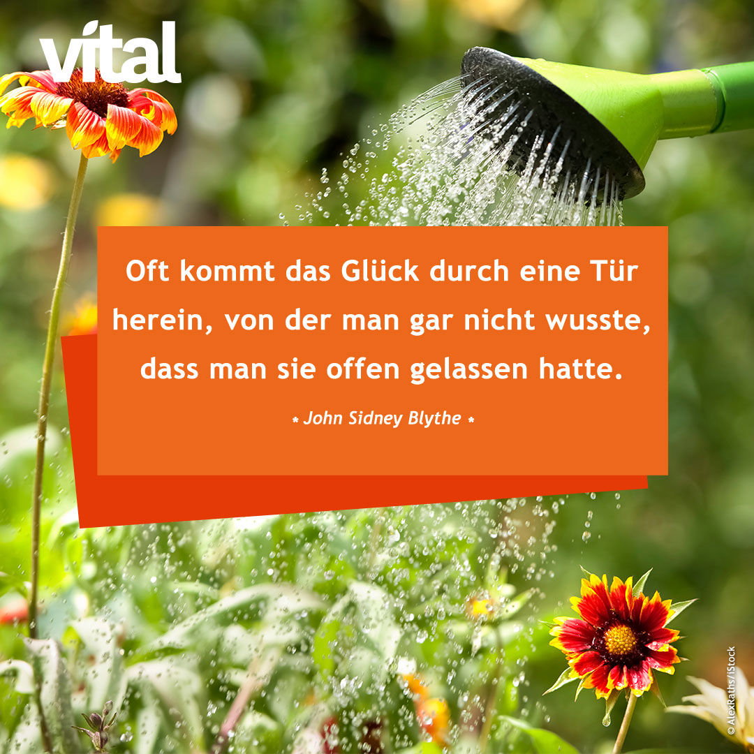 Oft kommt das Glück durch eine Tür herein, von der man gar nicht wusste, dass man sie offen gelassen hatte. John Sidney Blythe