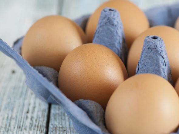 Eier