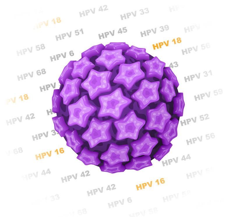 HPV-Erreger