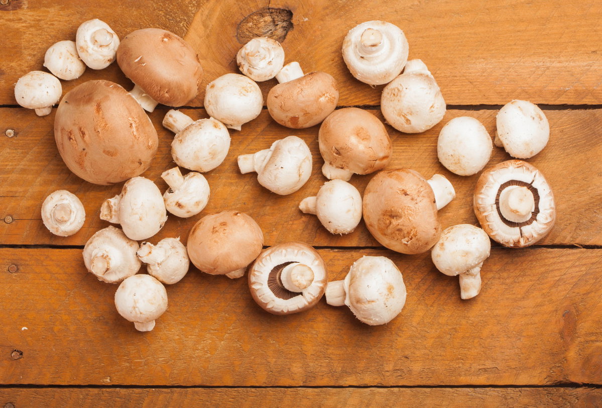 Champignons