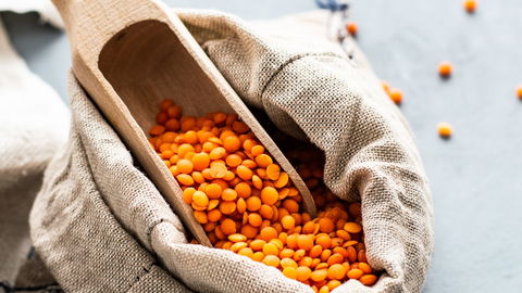 Mehr Protein als Magerquark? 3 pflanzliche Lebensmittel liefern überraschend viel Eiweiß