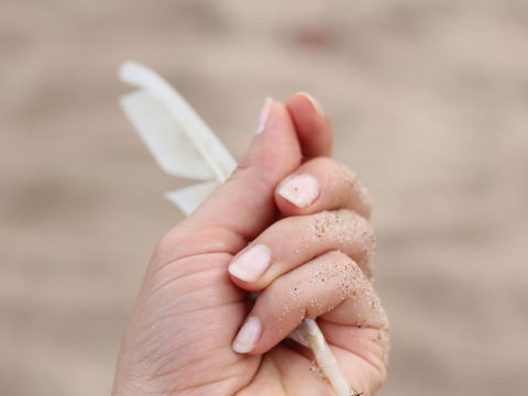 Nagelhaut – zurückschieben oder schneiden?