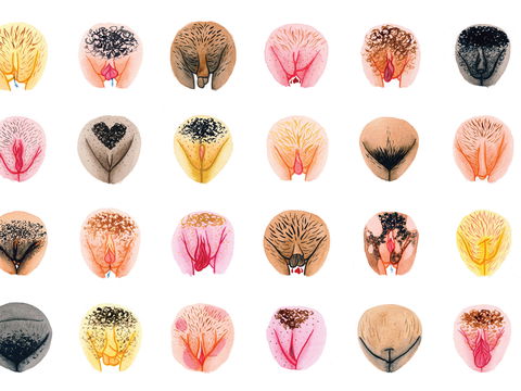 Vagina: Diese Vulva-Typen gibt es