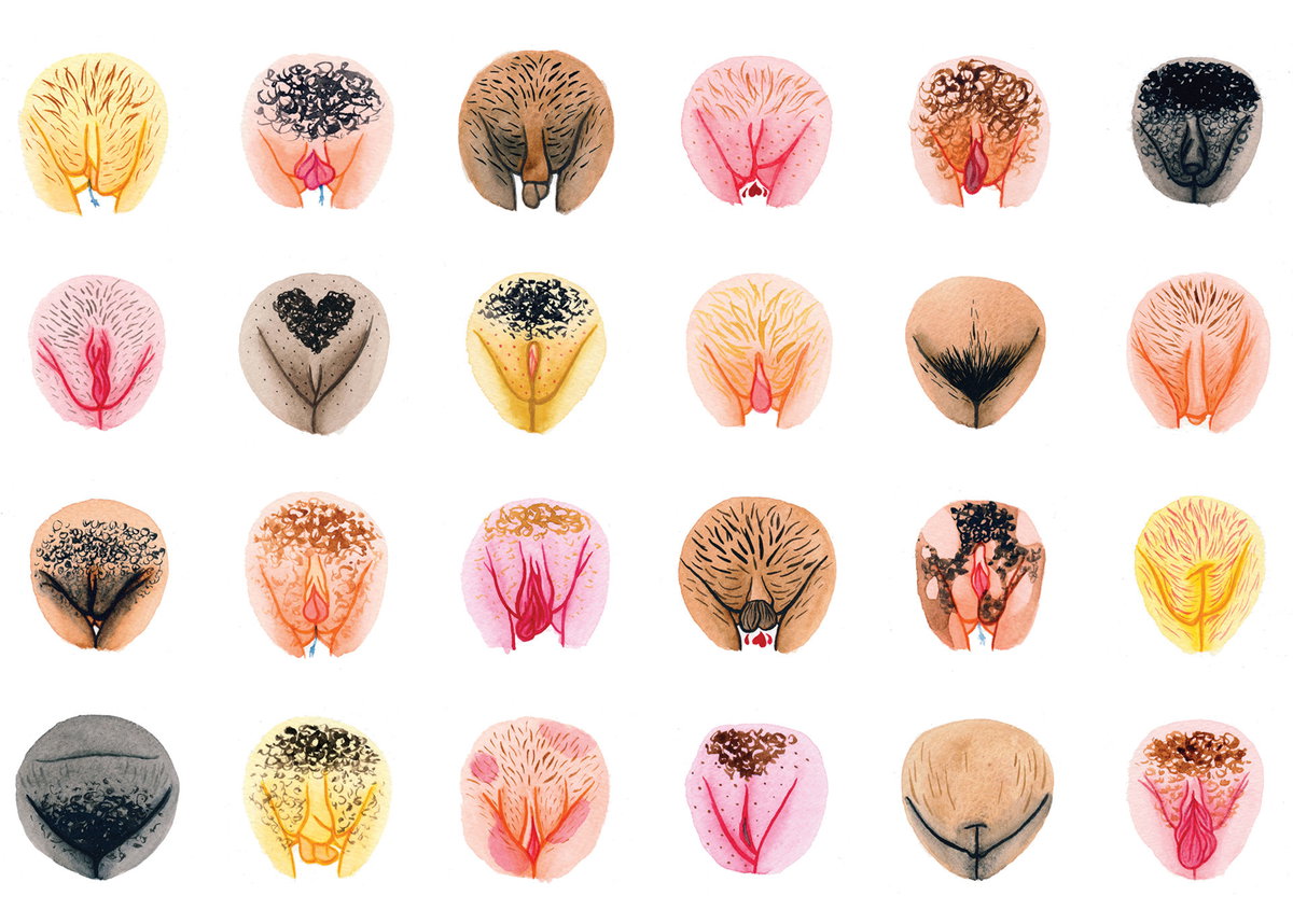 Jede Vulva ist anders