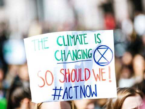Diese 10 Lebensmittel sind die größten Klimakiller