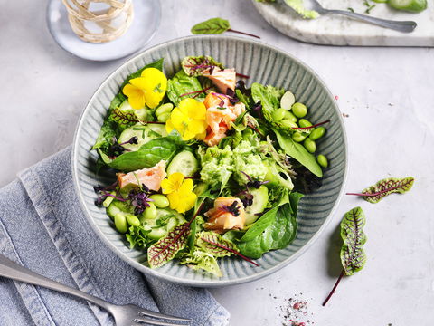 In nur 35 Minuten auf dem Tisch: Bunte Low-Carb Protein-Bowl mit Lachs, Edamame und frischer Kresse